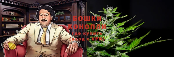 мет Каменка