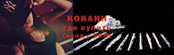 мет Каменка