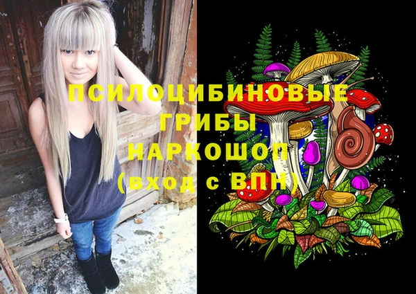 стаф Каменск-Шахтинский