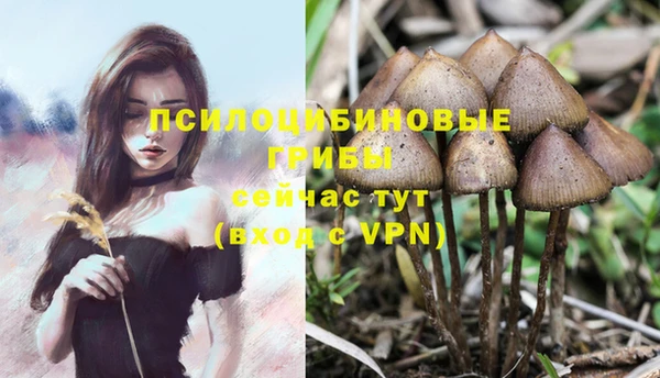 бошки Инта