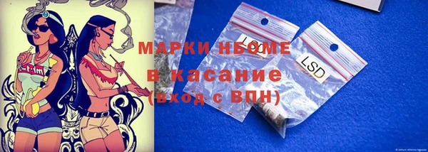 стаф Каменск-Шахтинский
