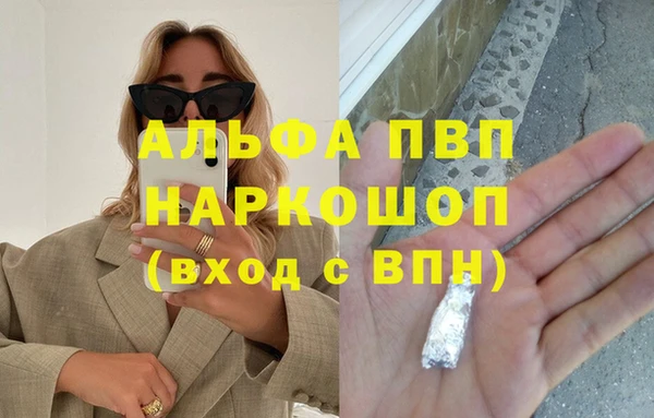 бошки Инта