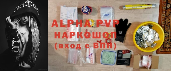 ПСИЛОЦИБИНОВЫЕ ГРИБЫ Каменногорск