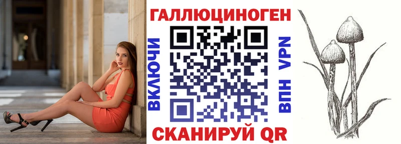 Псилоцибиновые грибы Psilocybine cubensis  Купить где  Холм 